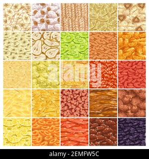 Getrocknete Früchte Texturen Vektor-Set. Kumquat, Birne und Pflaume, Rosinen, Aprikose und Mango, Banane, feige und Kaki, Zitrone und Papaya, Kiwi, Datteln und App Stock Vektor