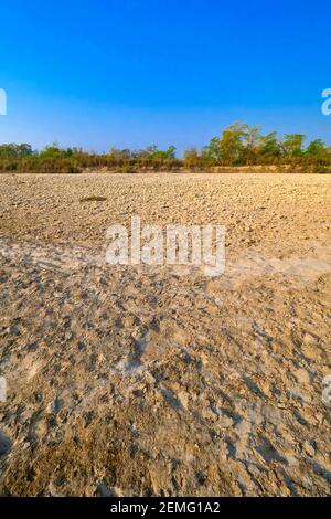 Dry River Bed, Feuchtgebiete, Royal Bardia National Park, Bardiya National Park, Nepal, Asien Stockfoto