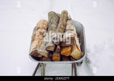 Mit Schubkarre, um gehacktes trockenes Brennholz nach Hause im Winter zu bringen. Verschneit auf dem Hintergrund. Stockfoto