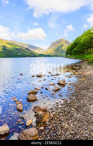 Blick über den Buttermere See entlang der felsigen Küste Richtung Fleetwith Hecht an einem sonnigen Sommertag Stockfoto