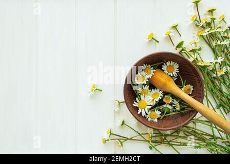 Frische Kamillenblüten in Holzkiemchen und Mörtel auf weißem Holzhintergrund. Draufsicht. Speicherplatz kopieren Stockfoto