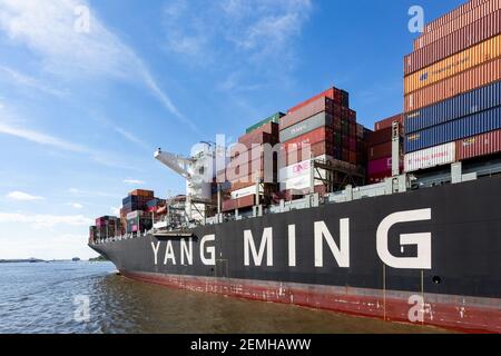 Containerschiff Yang Ming an der Elbe in Hamburg Stockfoto