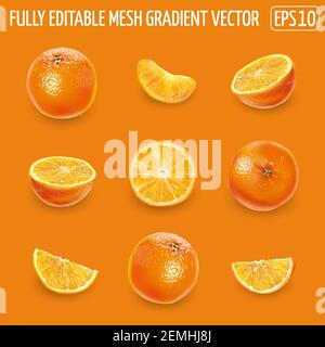 Set von reifen Orangen auf einem orangen Hintergrund. Stock Vektor
