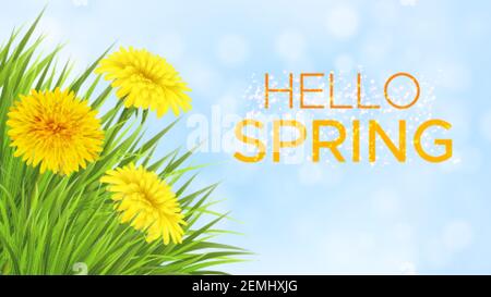 Frühling hellblauer Himmel Hintergrund mit Gras und Löwenzahn. Vorlage für Einladungskarte, Banner, Poster mit Blumen und Inschrift Hello Spring Stock Vektor