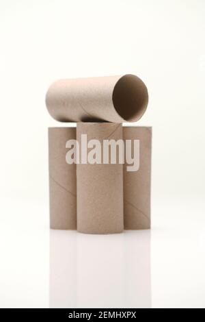 Toilettenrollen aus Pappe mit Innenrohren auf weißem Hintergrund mit einer Reflexion. Stockfoto