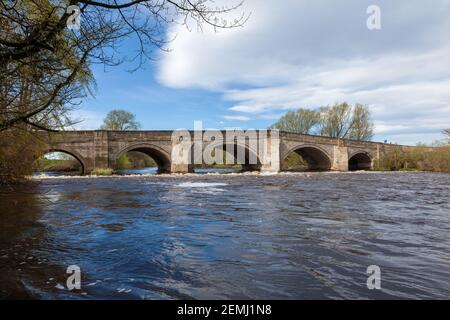 Hewick Brücke über den Fluss Ure auf Boroughbridge Straße in Ripon, North Yorkshire Stockfoto