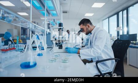 Modernes medizinisches Forschungslabor: Männlicher Wissenschaftler, der mit Mikroskop arbeitet und Biochemikalien analysiert. Fortgeschrittenes wissenschaftliches Labor für Medizin Stockfoto