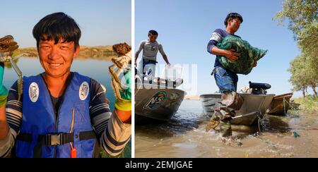 Washington, USA. September 2020, 16th. Combo Foto zeigt Memejan Gheni, ein Krabbenfänger, zeigt seinen frischen Fang am 14. September 2020 (L) und trägt eine Tasche Krabben aus dem Boot am 16. September 2020 (R) in der mongolischen Autonomen Präfektur Bayingolin, nordwestlich Chinas Xinjiang Uygur Autonome Region. Kredit: Zhao Ge/Xinhua/Alamy Live Nachrichten Stockfoto