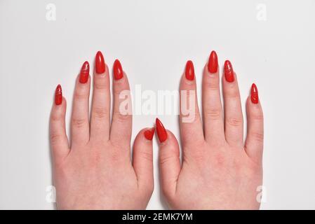 Weibliche Hände mit nachwachsende rote Gel Nägel close-up Stockfoto
