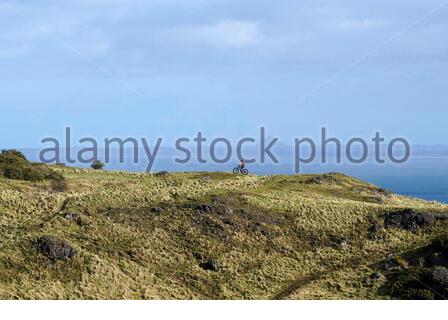 Edinburgh, Schottland, Großbritannien. Februar 2021, 25th. Menschen genießen die Sonne und im Freien im Holyrood Park. Radler auf dem Dunsapie Hill mit Blick über die vierte Mündung in Richtung des markanten Berwick Law bei North Berwick. Kredit: Craig Brown/Alamy Live Nachrichten Stockfoto