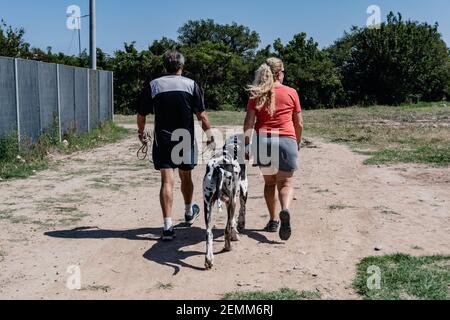 Altes Paar in der Liebe mit dem Rücken drehte zusammen mit ihrem dalmatinischen Hund entlang der nördlichen Uferpromenade von Buenos Aires zu Fuß. Vicente lopez Stockfoto