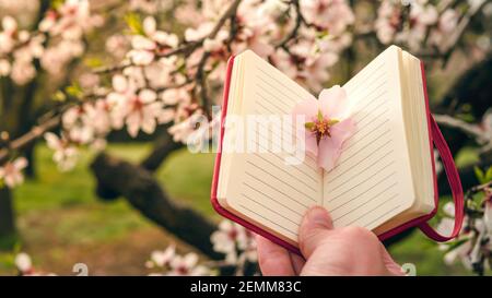 Blume in einem Buch, das die Natur liest. Konzeptuelles Foto der Weisheit der Natur, die uns Blumen, Früchte, Nahrung gibt. Stockfoto