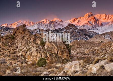 Mt Humphreys in der östlichen Sierra Nevada bei Sonnenaufgang im Winter über Buttermilk Country Area in der Nähe von Bishop, Kalifornien, USA Stockfoto