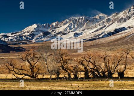 Mt Humphreys in der östlichen Sierra Nevada im Winter von Round Valley in der Nähe von Bishop, Kalifornien, USA Stockfoto