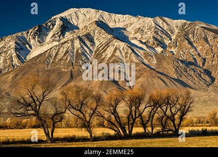 Mt Tom in der östlichen Sierra Nevada im Winter von Round Valley bei Bishop, Kalifornien, USA Stockfoto