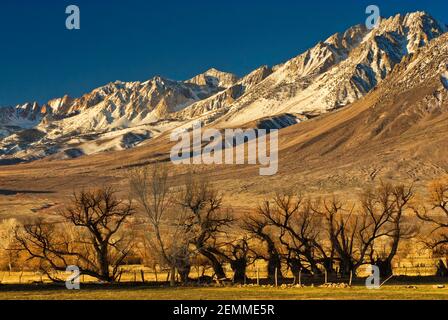 Mt Humphreys in der östlichen Sierra Nevada im Winter von Round Valley in der Nähe von Bishop, Kalifornien, USA Stockfoto