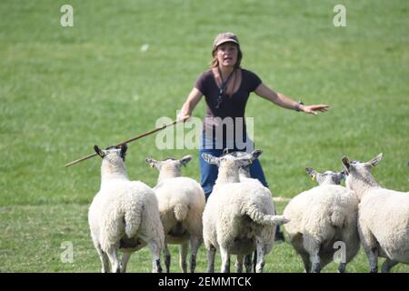 Die Belgierin Laura Hinnekens und die Bäuerin nehmen am internationalen Hundetreal in Stranraer, Schottland, Großbritannien, an Stockfoto