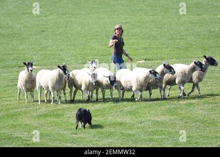 Die Belgierin Laura Hinnekens und die Bäuerin nehmen am internationalen Hundetreal in Stranraer, Schottland, Großbritannien, an Stockfoto