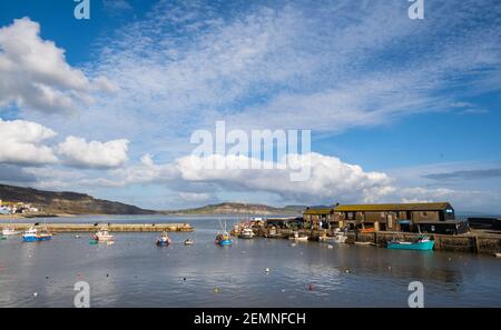 Lyme Regis, Dorset, Großbritannien. Februar 2021, 25th. UK Wetter: Der Cobb Hafen bei Lyme Regis an einem Nachmittag von klarem blauen Himmel und strahlendem Sonnenschein. Kredit: Celia McMahon/Alamy Live Nachrichten Stockfoto