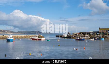 Lyme Regis, Dorset, Großbritannien. Februar 2021, 25th. UK Wetter: Der Cobb Hafen bei Lyme Regis an einem Nachmittag von klarem blauen Himmel und strahlendem Sonnenschein. Kredit: Celia McMahon/Alamy Live Nachrichten Stockfoto