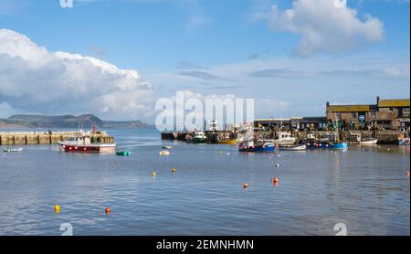 Lyme Regis, Dorset, Großbritannien. Februar 2021, 25th. UK Wetter: Der Cobb Hafen bei Lyme Regis an einem Nachmittag von klarem blauen Himmel und strahlendem Sonnenschein. Kredit: Celia McMahon/Alamy Live Nachrichten Stockfoto