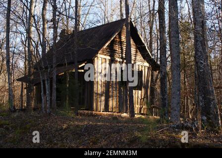 Verlassene Hütte in Dadeville, AL Stockfoto