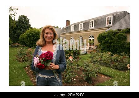 Danae Brook, Journalistin, betreibt das einzige Unternehmen im Land, das englische Rosen in chemisch freiem Land, meist im Freien, anbauen kann. Ihre Farm befindet sich in Little Horkesley in der Nähe von ColchesterFoto von David Sandison The Independent Stockfoto