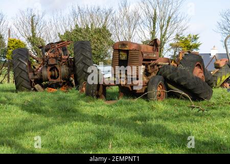 Rosting Scrap Massey Ferguson Traktoren in Farmers Field Stockfoto