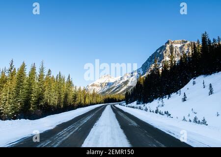 Panoramasicht auf den Icefields parkway (Highway 93) in Alberta, Kanada Stockfoto