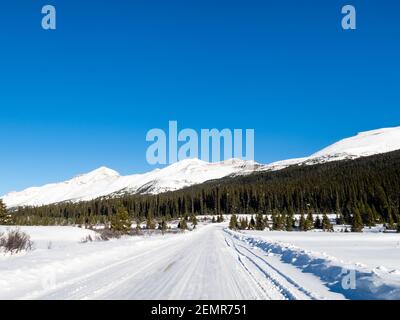 Panoramasicht auf den Icefields parkway (Highway 93) in Alberta, Kanada Stockfoto