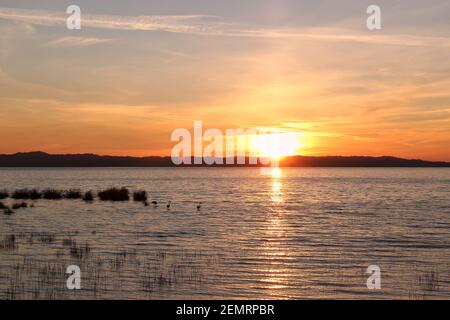 Sonnenuntergang mit Flamingos an der Lagune von Rodia in Ambracian Golf (Amvrakikos kolpos), in der Nähe des Dorfes Vigla in Arta, Epirus, Griechenland. Stockfoto