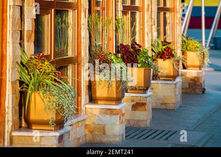 Fassade eines Steinfliesen-Gebäudes mit braunen Fenstern und Sockeln für Blumentöpfe in der Straße durch Sonnenlicht beleuchtet Seitenansicht close-up, niemand. Stockfoto