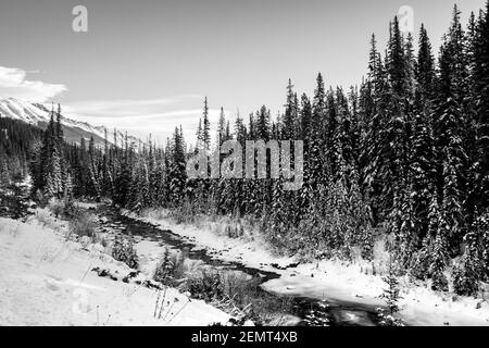 Schwarz-Weiß-Fotografie des Maligne River im Jasper National Park, Kanada Stockfoto