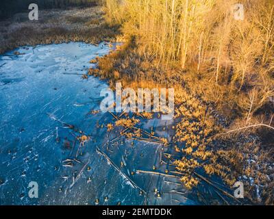 Luftdrohne Winterlandschaft auf gefrorenen winterlichen wilden See im Wald mit umgestürzten Bäumen in warmen Sonnenuntergang Licht. Fliegen Sie über den Naturpark Luftbild Stockfoto