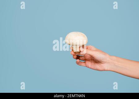 Beschnittene Ansicht der Frau, die rohen Pilz isoliert auf blau hält Stockfoto