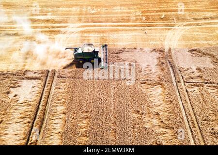 Ernte Weizenkorn im Sommer Feld. Harvester kombinieren in einer Wolke aus Staub glüht von der untergehenden Sonne. Luftaufnahme von oben Stockfoto