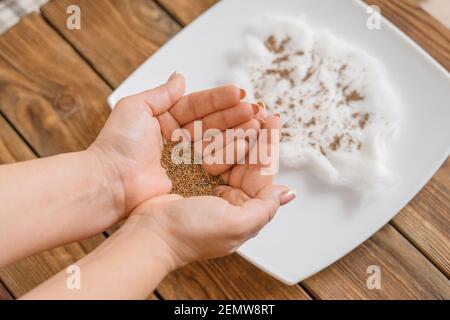 Gartenarbeit für zu Hause. Frau hält Rucola Samen in ihren Handflächen. Vorbereitung für das Pflanzen von Rucola Samen auf ein Stück Watte auf einem Teller. Anbauen von Micro Greens. Selektiver Fokus. Stockfoto