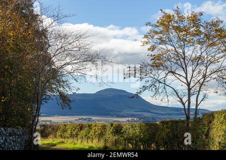 Country Track bei Auchtermuchty, mit West Lomond Hill in der Ferne. Stockfoto