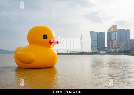 Die berühmte gelbe Ente Kunstschau in Macau um Sonnenuntergang Stockfoto