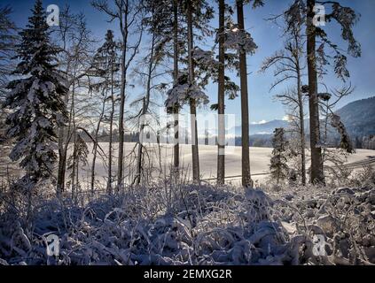 DE - BAYERN: Winterszene in Buchberg bei Bad Tölz (HDR-Bild) Stockfoto