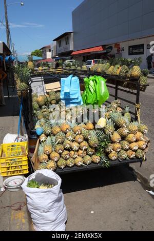 LKW Verkauf von frischen Ananas in der Straße, Santiago, Veraguas Provinz, Panama Stockfoto