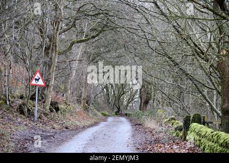 Warnschild für Hirsche, die die Straße bei Stanton Lees überqueren In Derbyshire Stockfoto