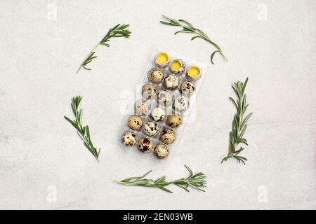 Viele Wachteleier in Plastikverpackung und razmarin herum auf Steingrund. Umweltfreundliche Produkte. Speicherplatz kopieren Stockfoto