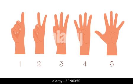 Fingersatz. Erster, zweiter, dritter, vierter, fünfter, Eine, zwei, drei, vier, fünf Zahlen. Hand zeigt Zählungen mit Fingern Vektordarstellung. Stock Vektor