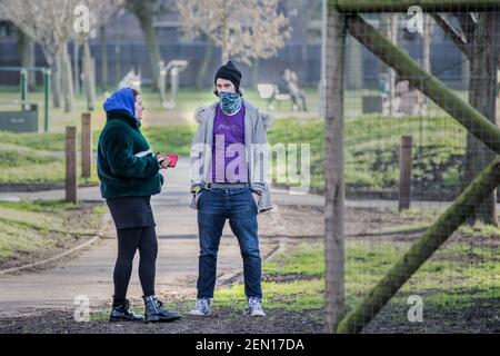 London, Großbritannien. Februar 2021, 23rd. Es ist der zweite Tag des „Baumsitzens“ in den Londoner York Gardens, Battersea. Extinction Rebellion Aktivisten kommen herüber, um Unterstützung für die Baumpfer zu zeigen, die den 100 Jahre alten schwarzen Pappelbaum besetzen, aber einen Abstand halten, um die Tier-4 Covid-19 Regeln zu respektieren. Der Baum sollte abgeschlagen werden, um Platz für ein neues Elektrokabel zu schaffen, das Teil des lokalen Sanierungsplans für Wohnhäuser war. Die Aktivisten glauben, dass das Kabel hätte umgeleitet werden können. Stockfoto