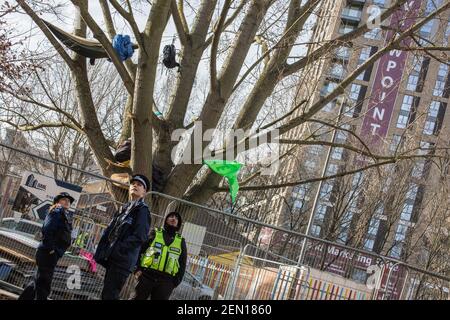 London, Großbritannien. Februar 2021, 23rd. Es ist der zweite Tag des „Baumsitzens“ in den Londoner York Gardens, Battersea. In einem Versuch, einen 100 Jahre alten schwarzen Pappelbaum vor dem Abschlag zu retten, haben drei Aktivisten ihn in der Nacht vom 21st. Auf den 22nd. Februar bestiegen und besetzt. Der Baum sollte abgeschlagen werden, um Platz für ein neues elektrisches Kabel zu schaffen, das Teil des lokalen Wohnbausanierungsplans des rates und der Taylor Wimpey Homes war. Gestern wurden die Aktivisten von Gerichtsvollziehern mit einem Räumungsbefehl bescheinigt, und die Polizei verhängte eine Geldstrafe für einige Aktivisten und einen Anwalt auf der Grundlage der Covid-19-Regeln der Stufe 4. Aber heute ist alles ruhig. Stockfoto