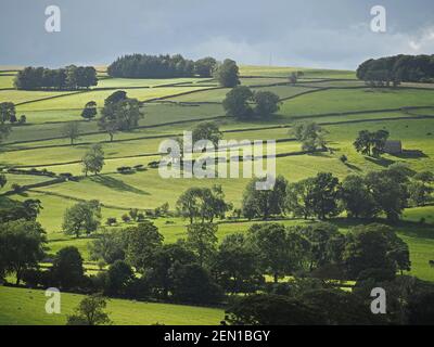 Ein Blick über die Landschaft mit Patchwork von grünen Feldern, grünen Bäumen und Trockensteinmauern unter grauem Himmel in ländlichen hügeligen Cumbria, England, Großbritannien Stockfoto