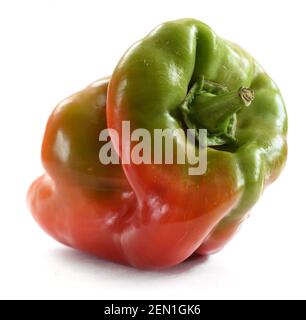 Bio-Lebensmittel. Ungerade geformt hässlich homegrown Paprika isoliert auf weißem Hintergrund Stockfoto