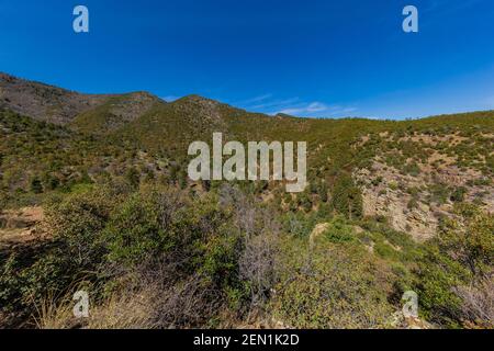 Aussicht auf die Berge von Trail in Miller Peak Wilderness in Huachuca Mountains, Coronado National Forest, Arizona, USA Stockfoto