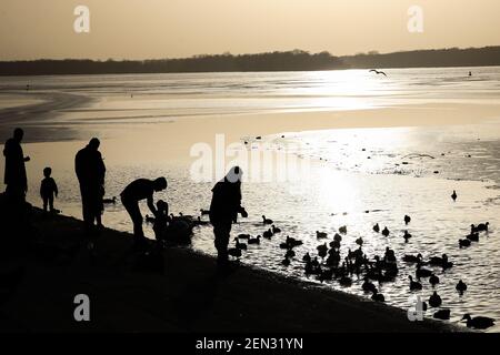 Berlin, Deutschland. Februar 2021, 25th. Menschen beobachten Vögel am Tegeler See, bedeckt mit dünnem Eis in Berlin, Hauptstadt Deutschlands, 25. Februar 2021. Quelle: Shan Yuqi/Xinhua/Alamy Live News Stockfoto